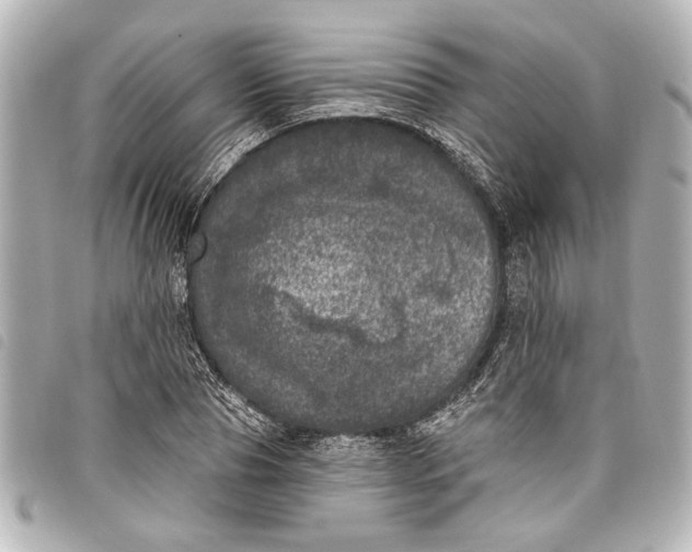 X0000098070929200804181129