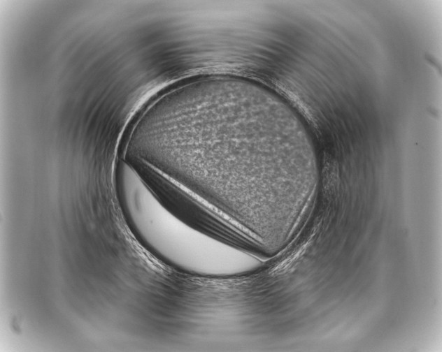 X0000098070932200804181129