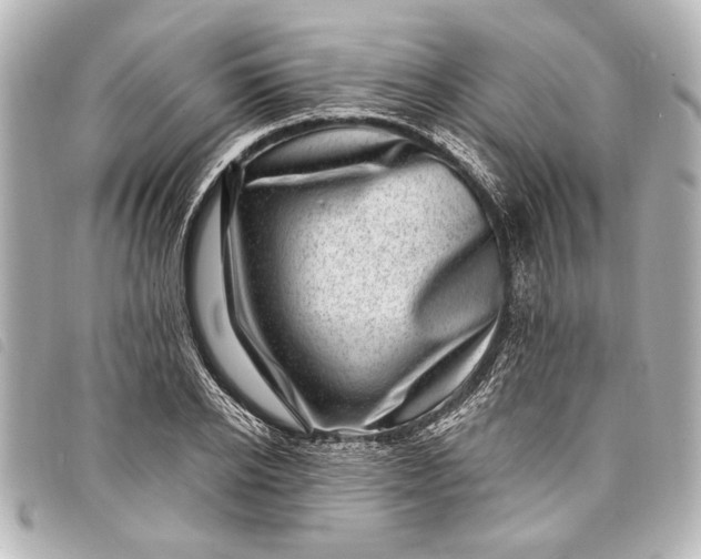 X0000098070934200804181129