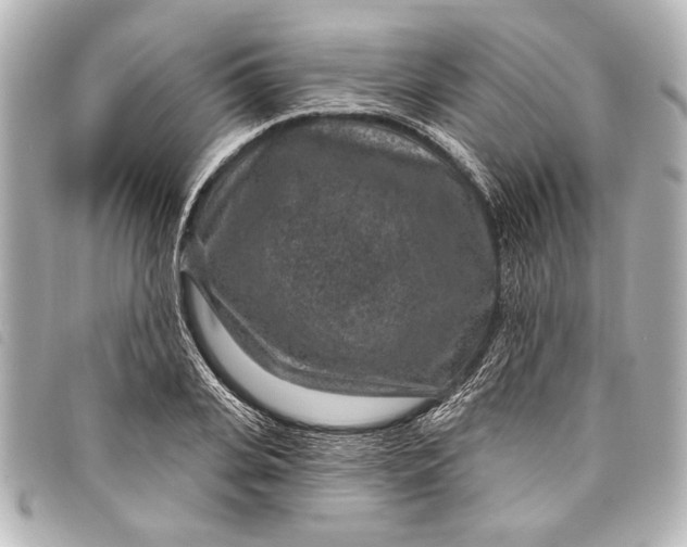 X0000098070935200804181129