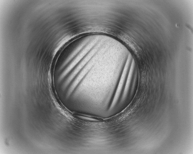 X0000098070936200804181129