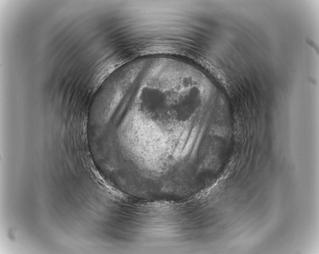 X0000098070937200804181129