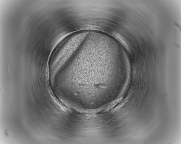 X0000098070940200804181129