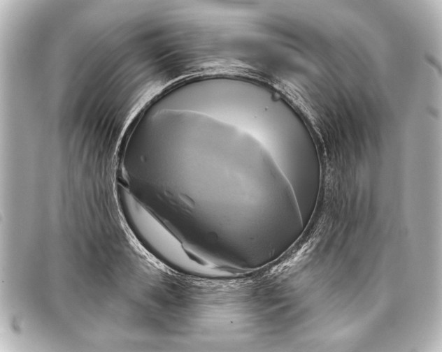 X0000098070941200804181129