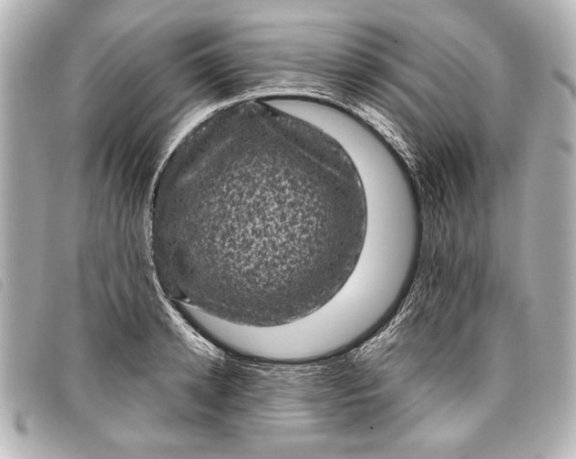 X0000098070942200804181129