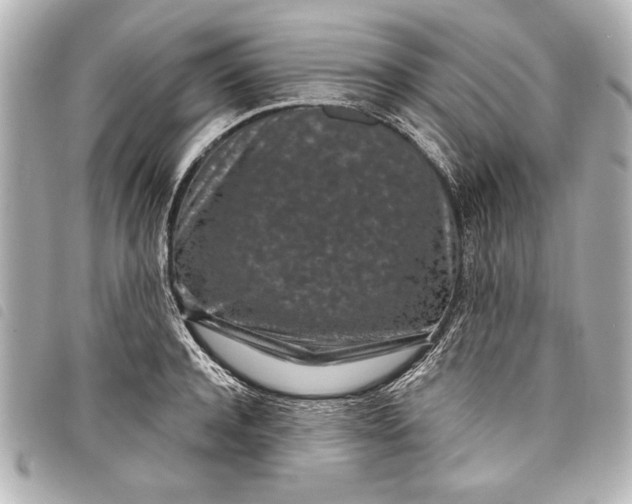 X0000098070944200804181129