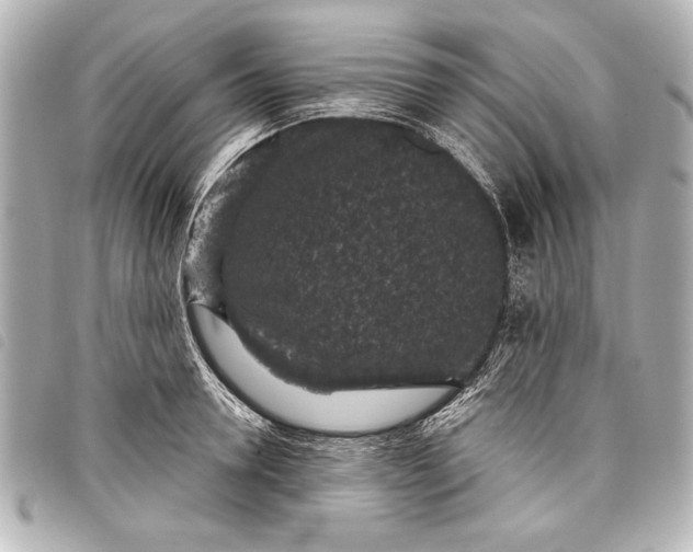 X0000098070946200804181129