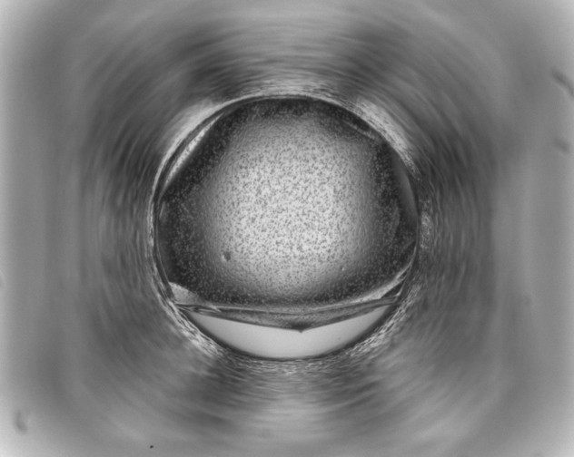 X0000098070948200804181129