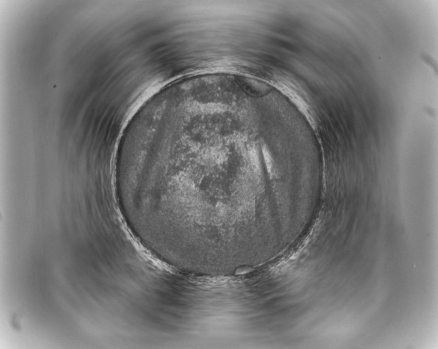 X0000098070949200804181129