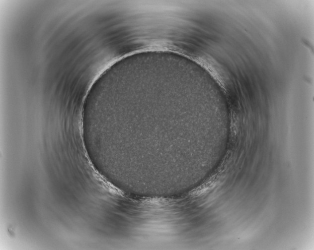 X0000098070950200804181129