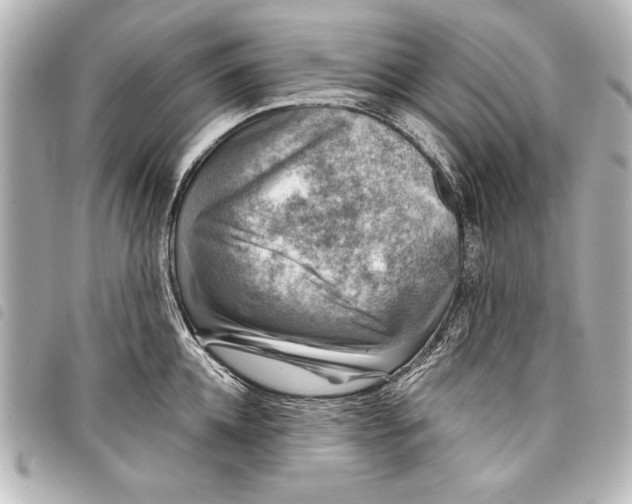 X0000098070952200804181129