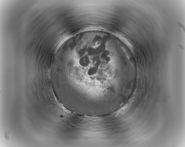 X0000098070953200804181129