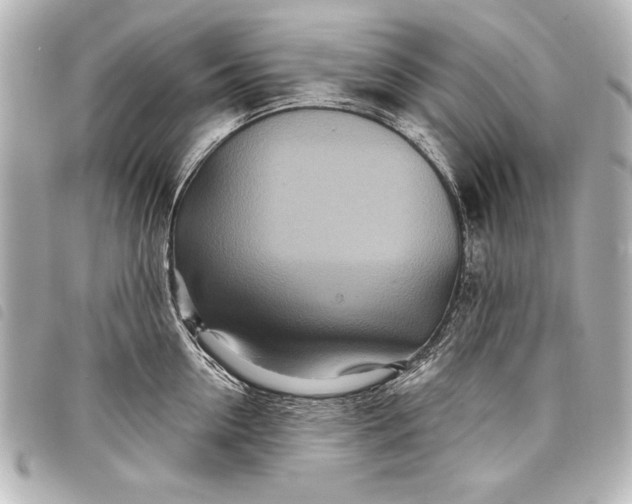 X0000098070954200804181129