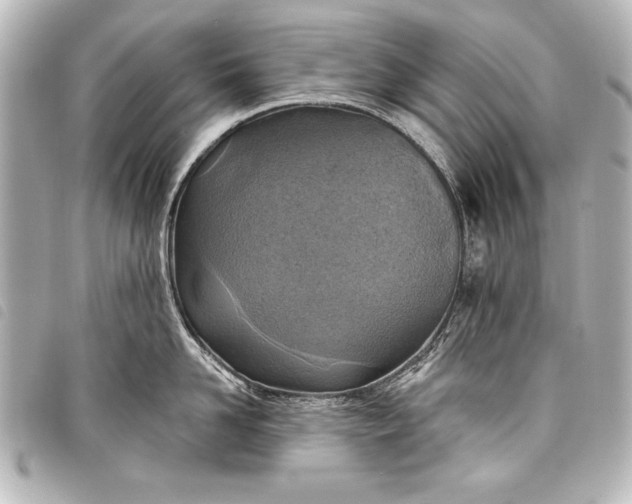 X0000098070958200804181129