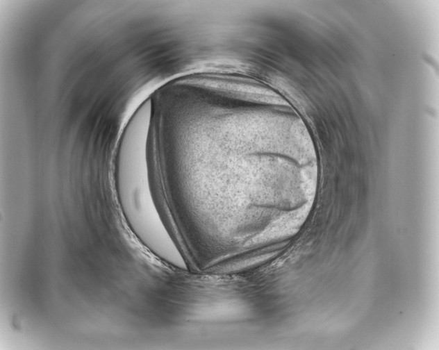 X0000098070960200804181130