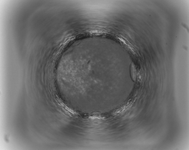 X0000098070961200804181129