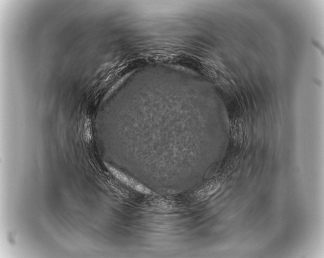 X0000098070962200804181129