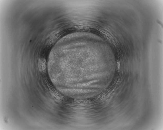 X0000098070963200804181129