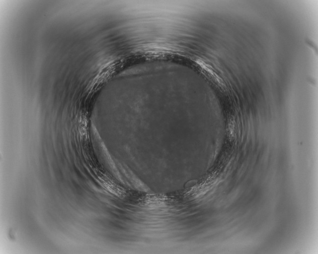 X0000098070964200804181129