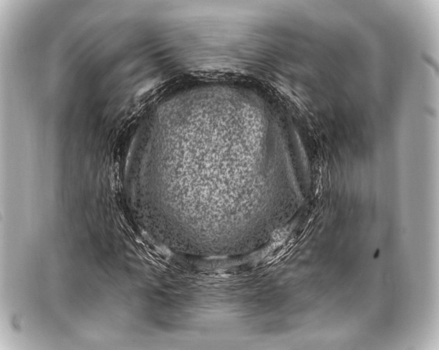 X0000098070965200804181129