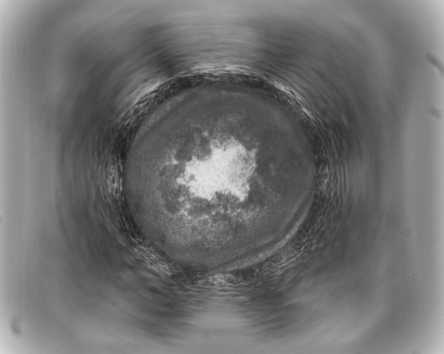 X0000098070966200804181129