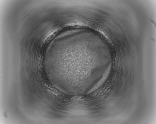 X0000098070967200804181129