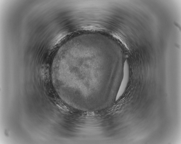 X0000098070968200804181129