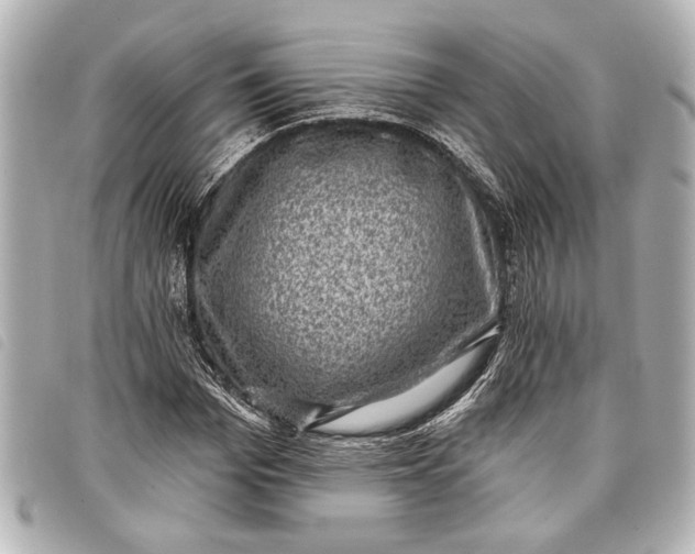 X0000098070969200804181129