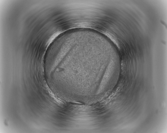 X0000098070972200804181129