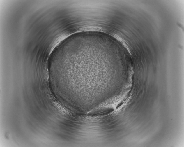 X0000098070973200804181129