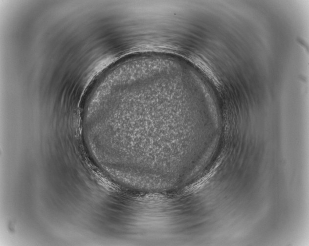 X0000098070974200804181129