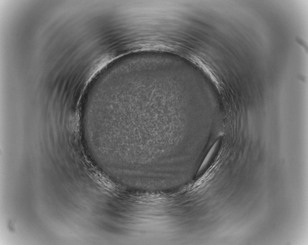 X0000098070975200804181128