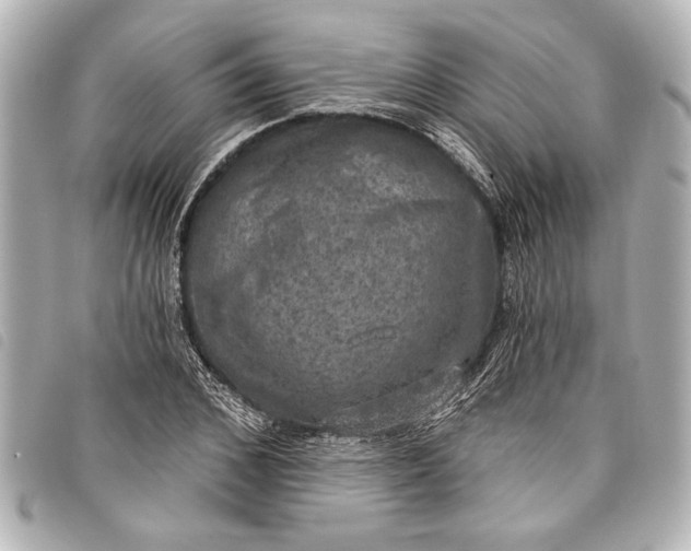 X0000098070976200804181128