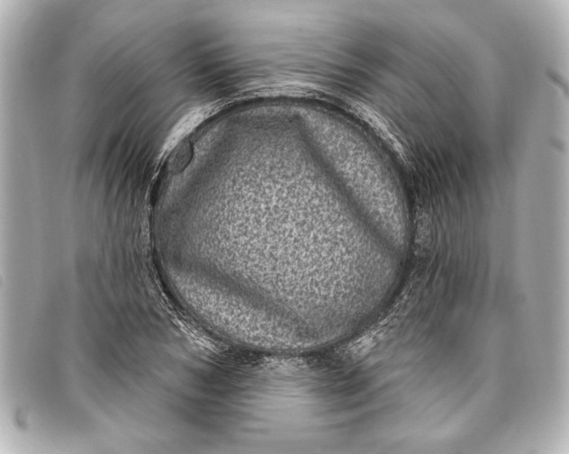 X0000098070978200804181128