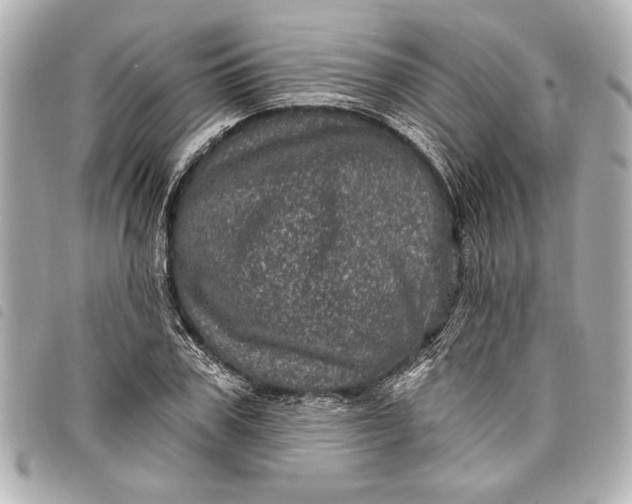 X0000098070979200804181128