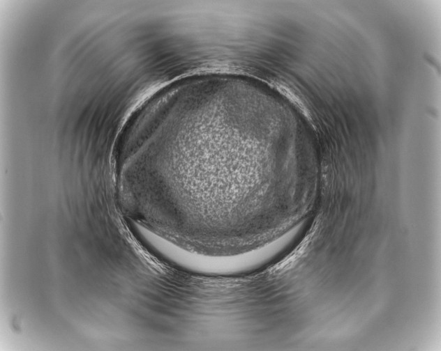 X0000098070981200804181128