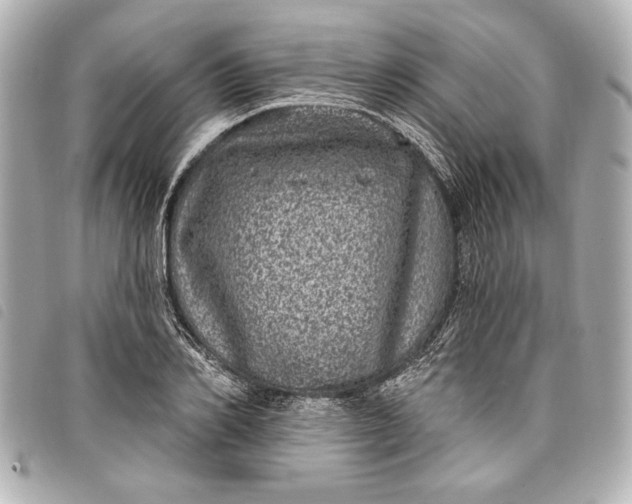 X0000098070982200804181128