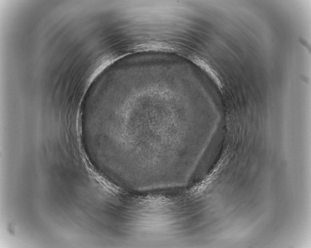 X0000098070983200804181128