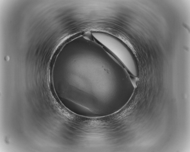 X0000098070984200804181128