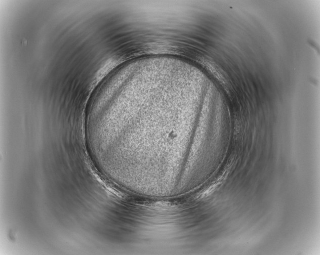 X0000098070986200804181128