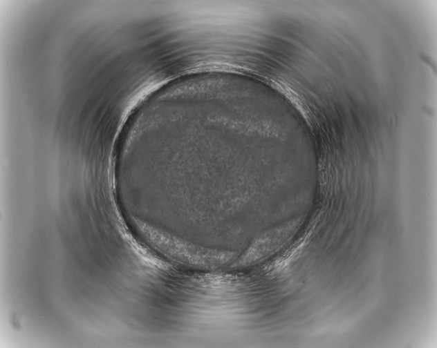 X0000098070987200804181128