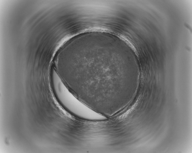 X0000098070989200804181128