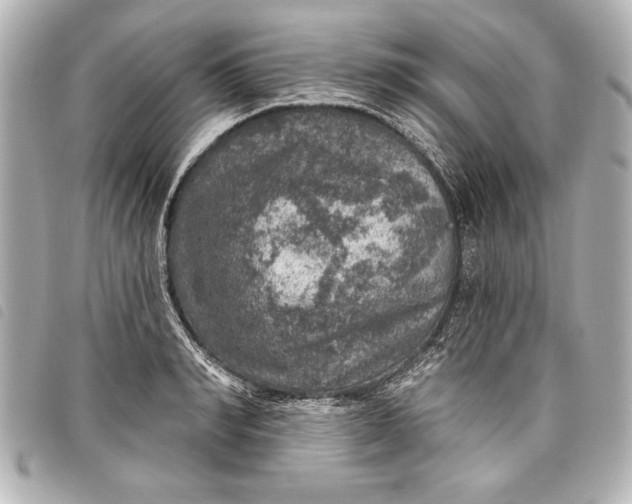 X0000098070990200804181128