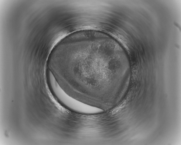 X0000098070991200804181128