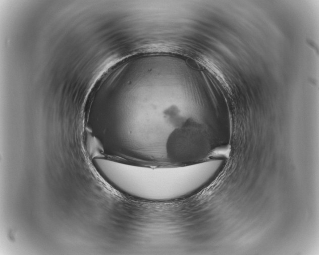 X0000098070992200804181128