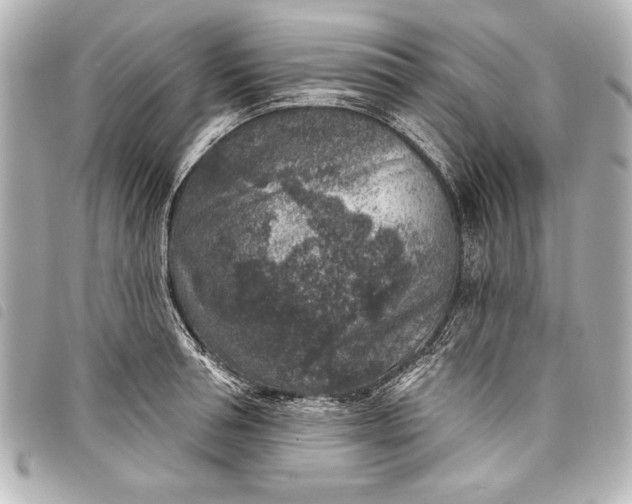 X0000098070994200804181128