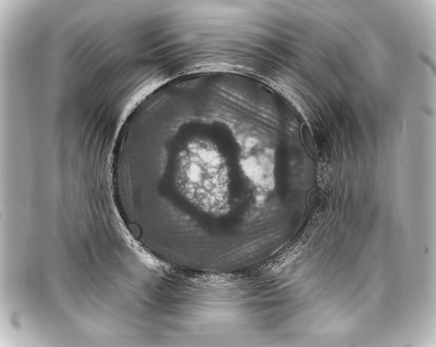 X0000098070995200804181128