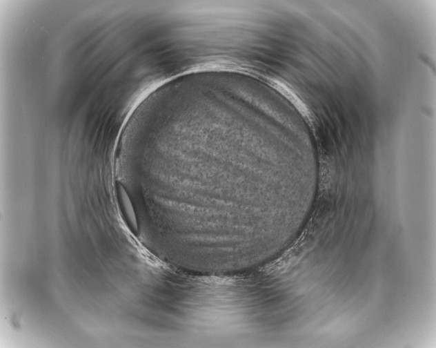 X0000098070996200804181128