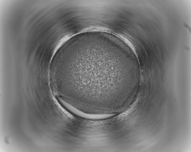 X0000098070997200804181128