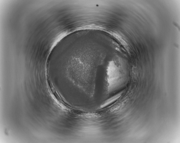 X0000098070998200804181128